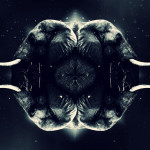 Calm Elephant
